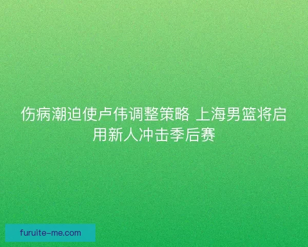 伤病潮迫使卢伟调整策略 上海男篮将启用新人冲击季后赛